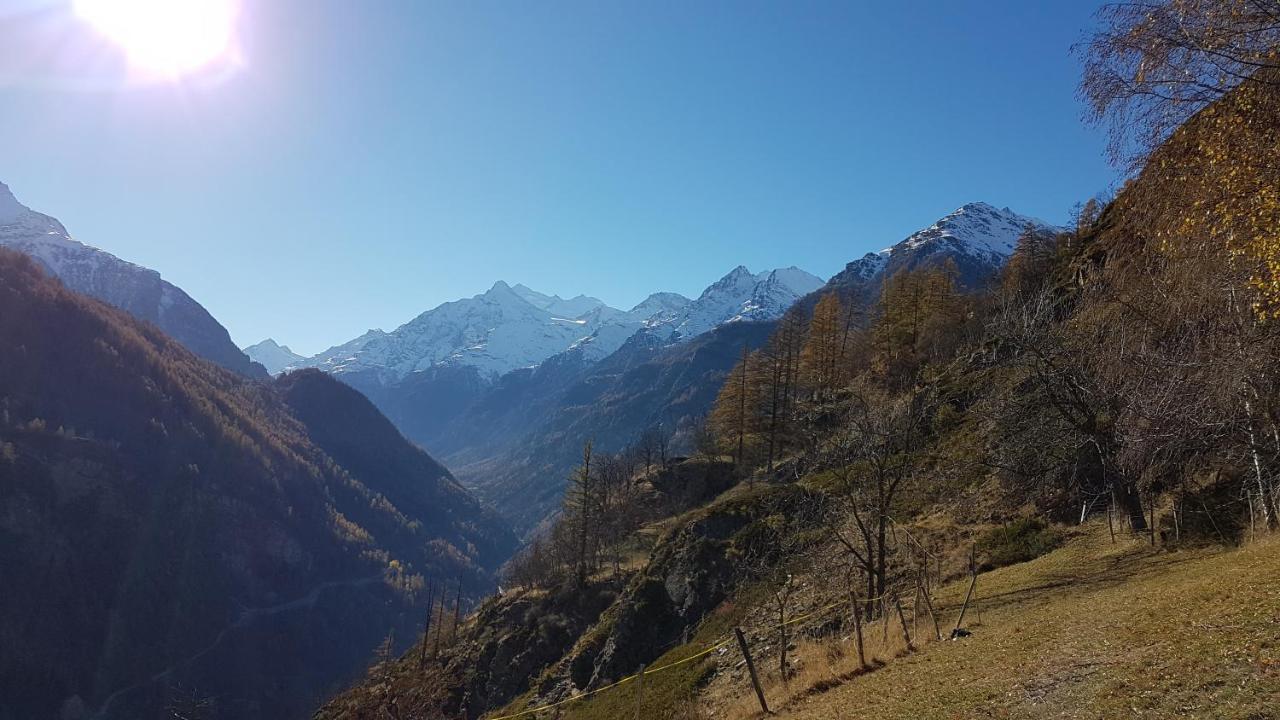 Chalet La Paz With Hotpot And Sauna Villa Törbel Екстериор снимка