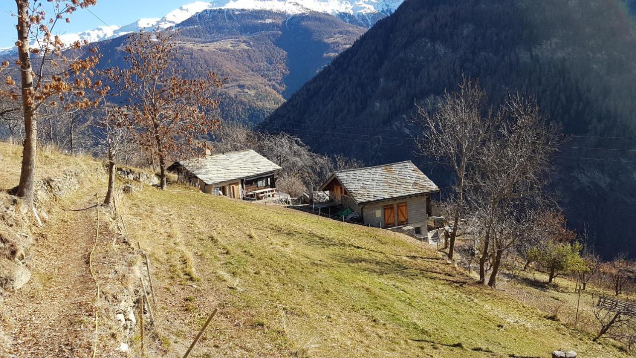 Chalet La Paz With Hotpot And Sauna Villa Törbel Екстериор снимка